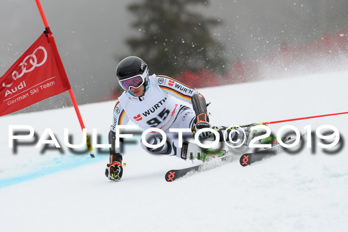 FIS + NJC Riesenslalom Damen + Herren 02.02.2019