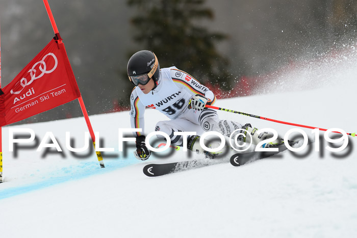 FIS + NJC Riesenslalom Damen + Herren 02.02.2019