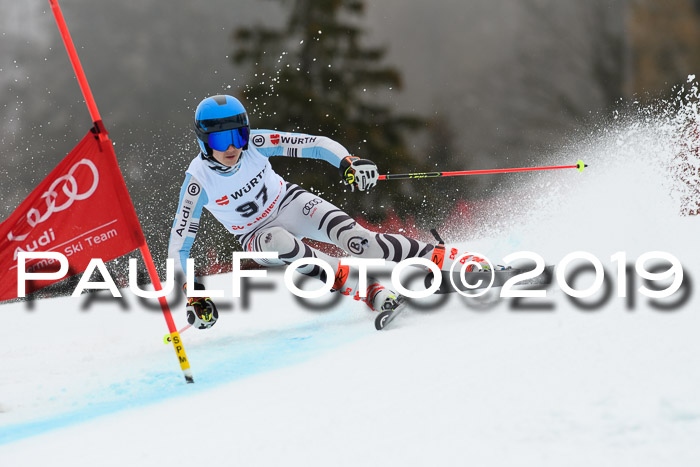 FIS + NJC Riesenslalom Damen + Herren 02.02.2019