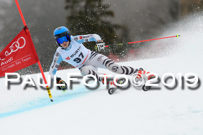 FIS + NJC Riesenslalom Damen + Herren 02.02.2019