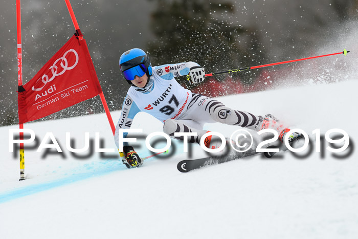 FIS + NJC Riesenslalom Damen + Herren 02.02.2019