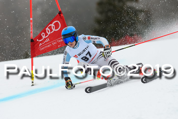 FIS + NJC Riesenslalom Damen + Herren 02.02.2019