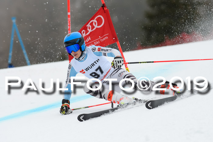FIS + NJC Riesenslalom Damen + Herren 02.02.2019