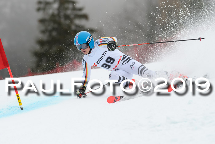 FIS + NJC Riesenslalom Damen + Herren 02.02.2019