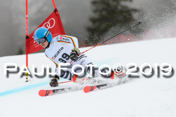 FIS + NJC Riesenslalom Damen + Herren 02.02.2019