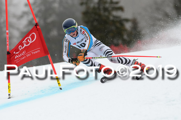 FIS + NJC Riesenslalom Damen + Herren 02.02.2019