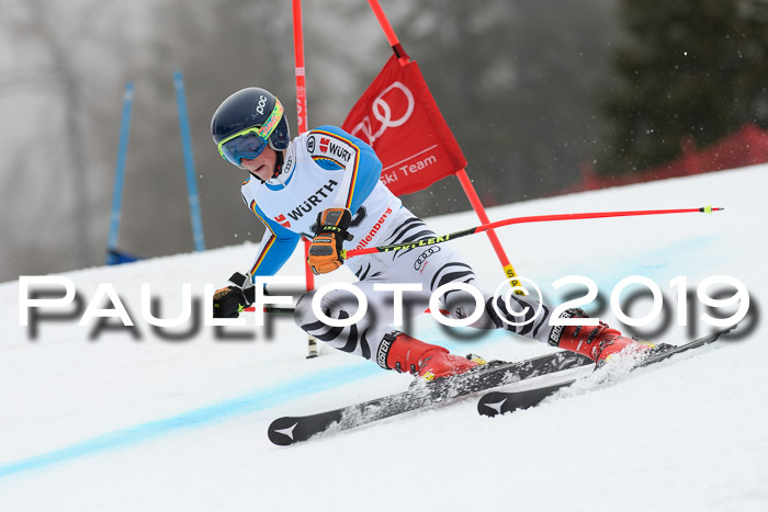 FIS + NJC Riesenslalom Damen + Herren 02.02.2019