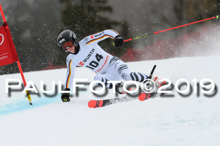 FIS + NJC Riesenslalom Damen + Herren 02.02.2019