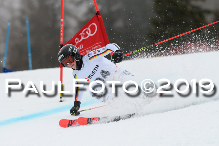 FIS + NJC Riesenslalom Damen + Herren 02.02.2019