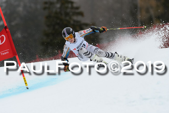 FIS + NJC Riesenslalom Damen + Herren 02.02.2019