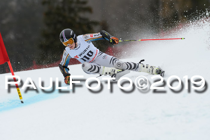 FIS + NJC Riesenslalom Damen + Herren 02.02.2019