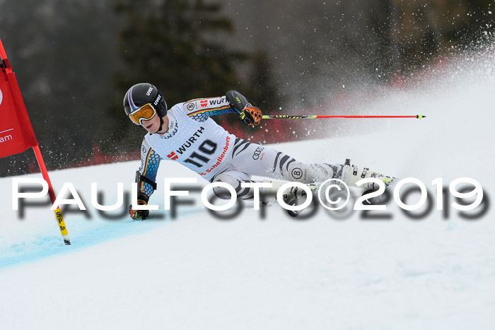 FIS + NJC Riesenslalom Damen + Herren 02.02.2019