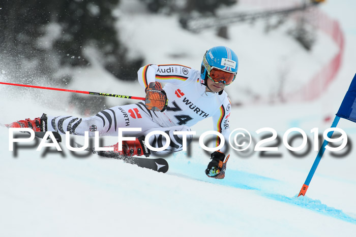 FIS + NJC Riesenslalom Damen + Herren 02.02.2019