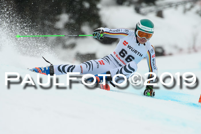 FIS + NJC Riesenslalom Damen + Herren 02.02.2019