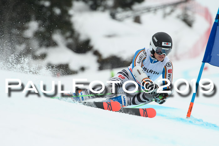 FIS + NJC Riesenslalom Damen + Herren 02.02.2019