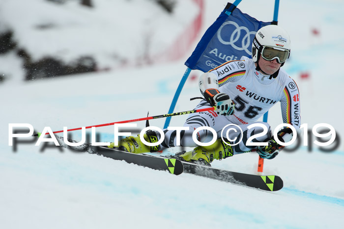 FIS + NJC Riesenslalom Damen + Herren 02.02.2019
