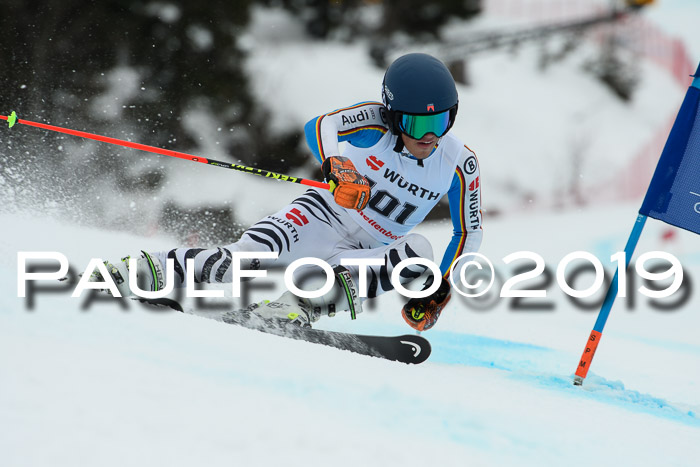 FIS + NJC Riesenslalom Damen + Herren 02.02.2019