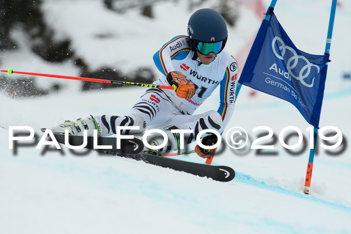 FIS + NJC Riesenslalom Damen + Herren 02.02.2019
