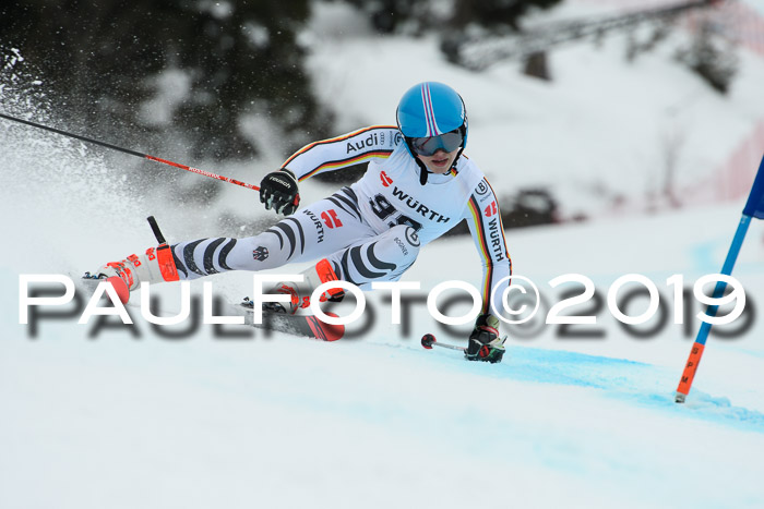 FIS + NJC Riesenslalom Damen + Herren 02.02.2019