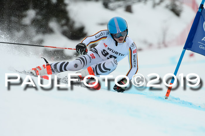 FIS + NJC Riesenslalom Damen + Herren 02.02.2019