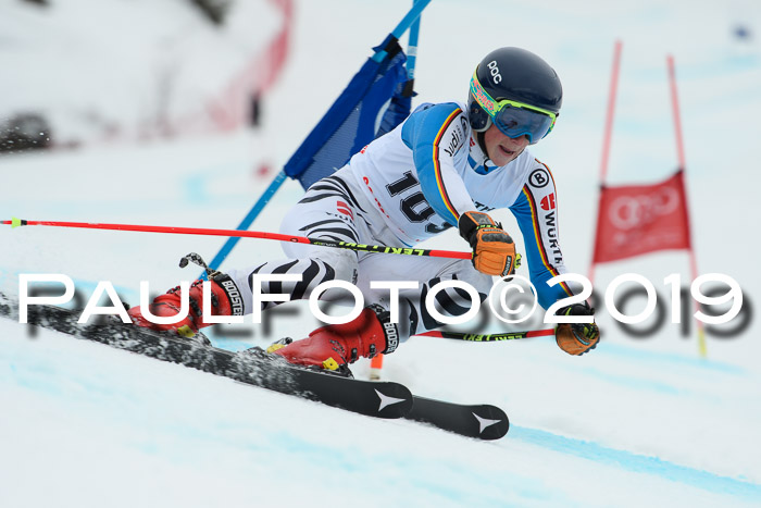 FIS + NJC Riesenslalom Damen + Herren 02.02.2019