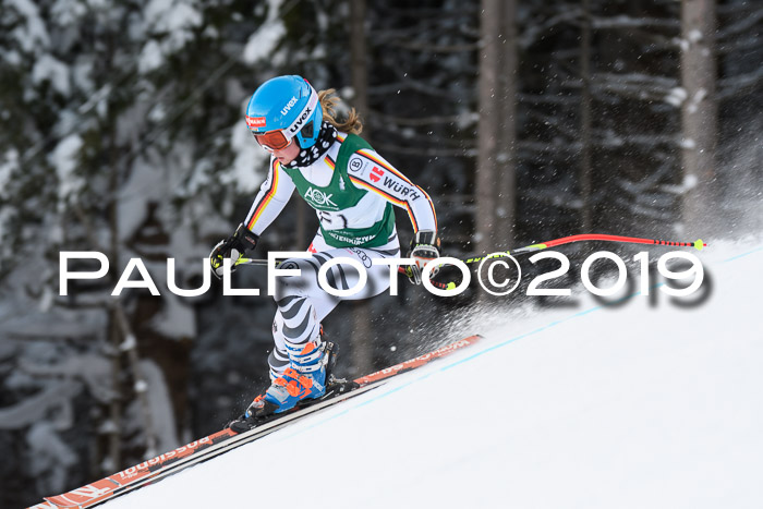 NJC + FIS, Super-G, Herren, 06.02.2019