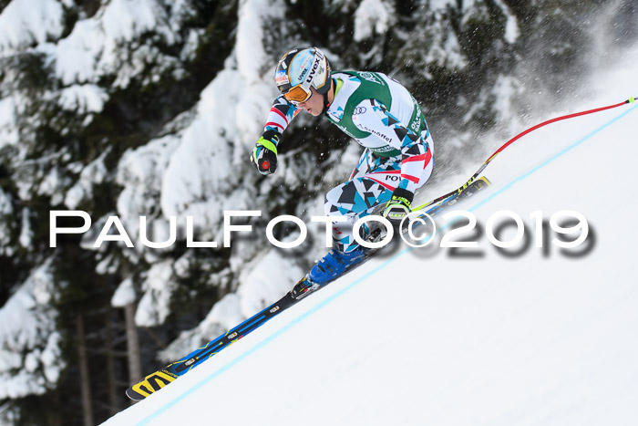 NJC + FIS, Super-G, Herren, 06.02.2019