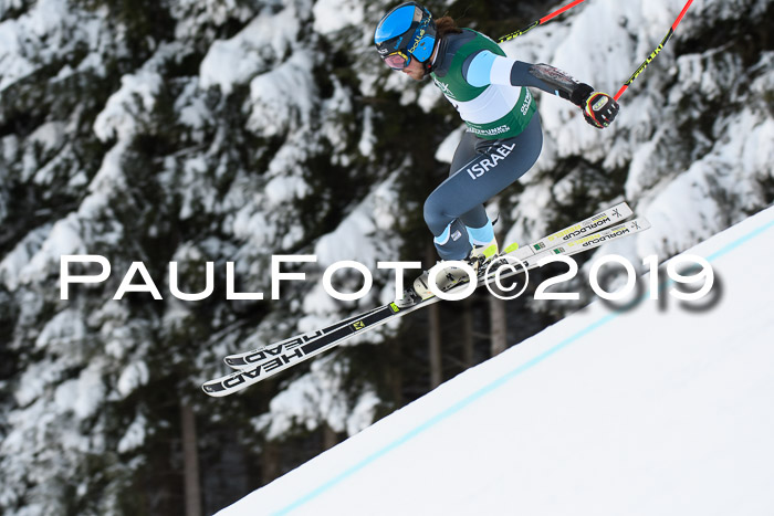 NJC + FIS, Super-G, Herren, 06.02.2019