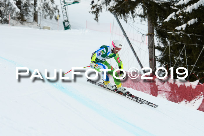 NJC + FIS, Super-G, Herren, 06.02.2019