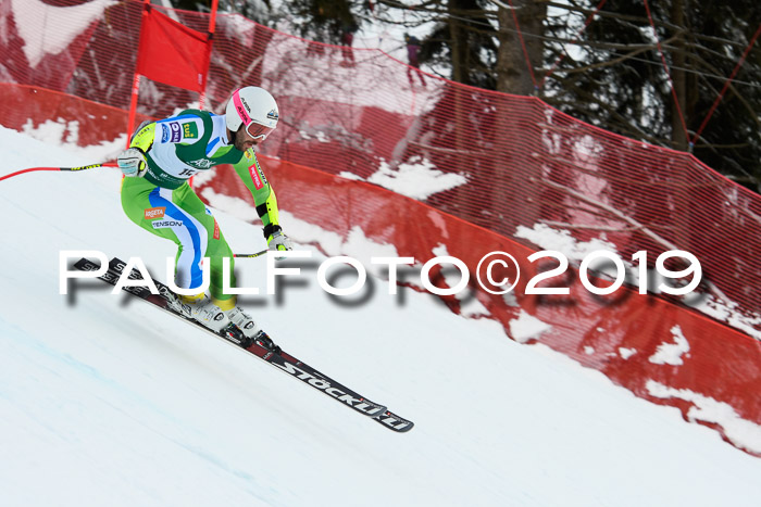NJC + FIS, Super-G, Herren, 06.02.2019