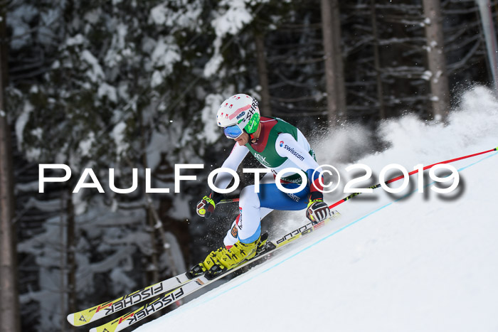 NJC + FIS, Super-G, Herren, 06.02.2019