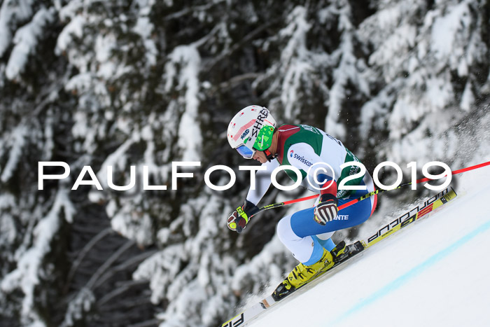 NJC + FIS, Super-G, Herren, 06.02.2019