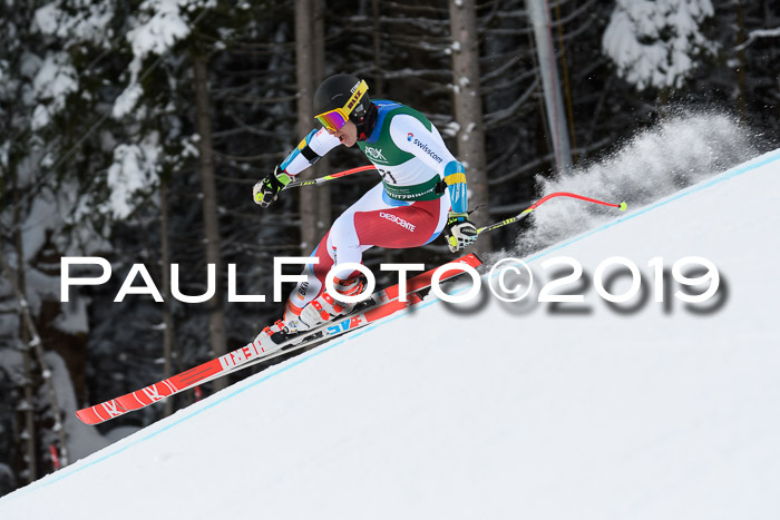 NJC + FIS, Super-G, Herren, 06.02.2019