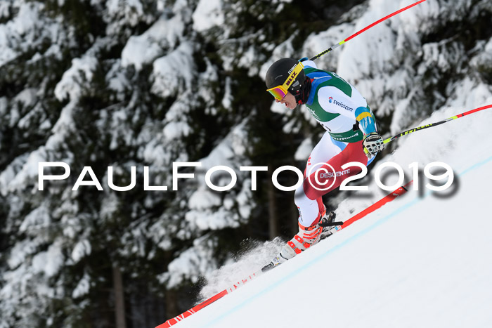 NJC + FIS, Super-G, Herren, 06.02.2019
