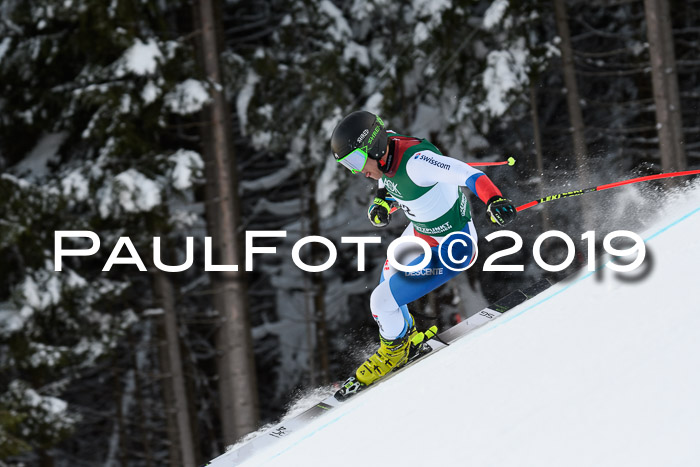 NJC + FIS, Super-G, Herren, 06.02.2019