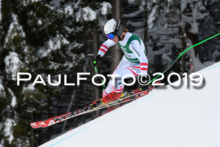 NJC + FIS, Super-G, Herren, 06.02.2019