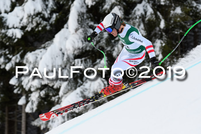 NJC + FIS, Super-G, Herren, 06.02.2019