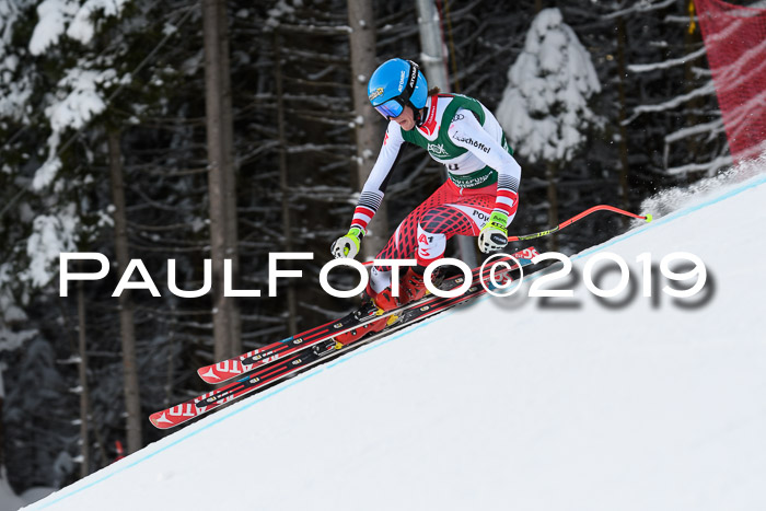 NJC + FIS, Super-G, Herren, 06.02.2019