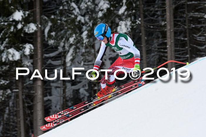 NJC + FIS, Super-G, Herren, 06.02.2019