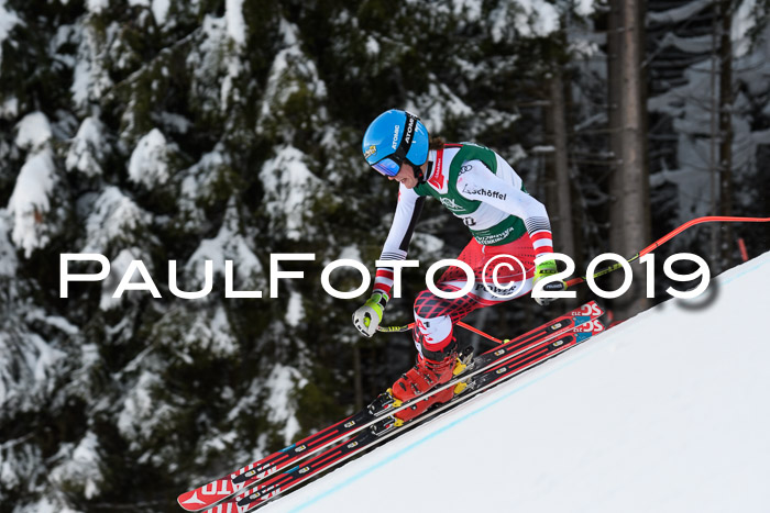 NJC + FIS, Super-G, Herren, 06.02.2019