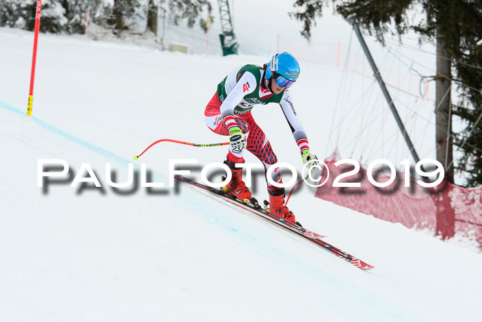 NJC + FIS, Super-G, Herren, 06.02.2019