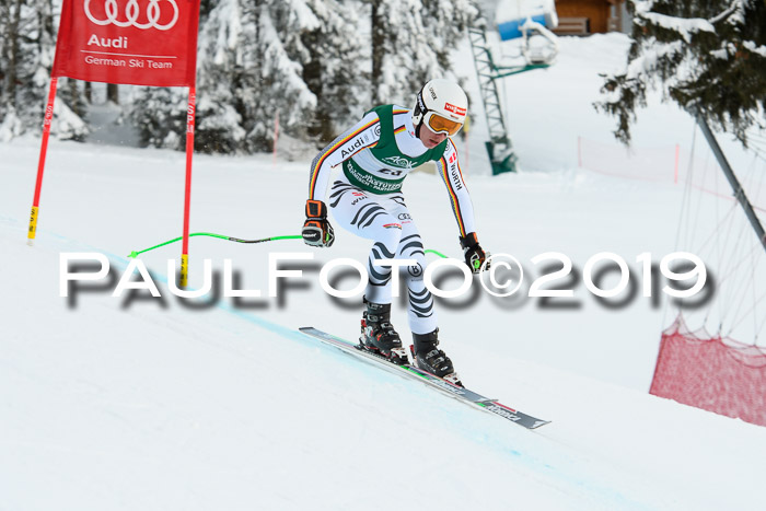 NJC + FIS, Super-G, Herren, 06.02.2019