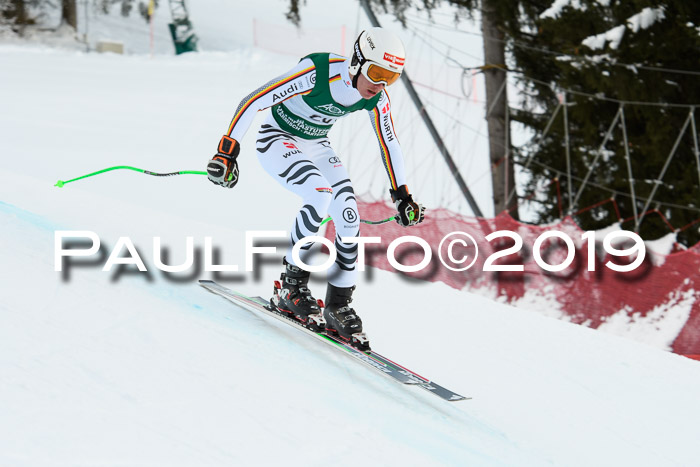 NJC + FIS, Super-G, Herren, 06.02.2019