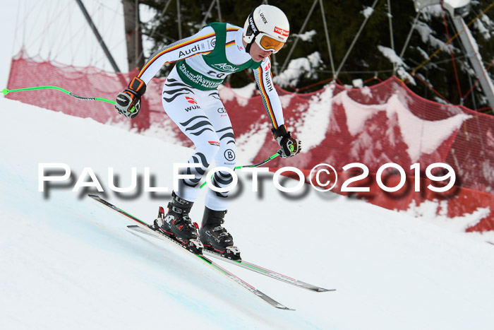 NJC + FIS, Super-G, Herren, 06.02.2019