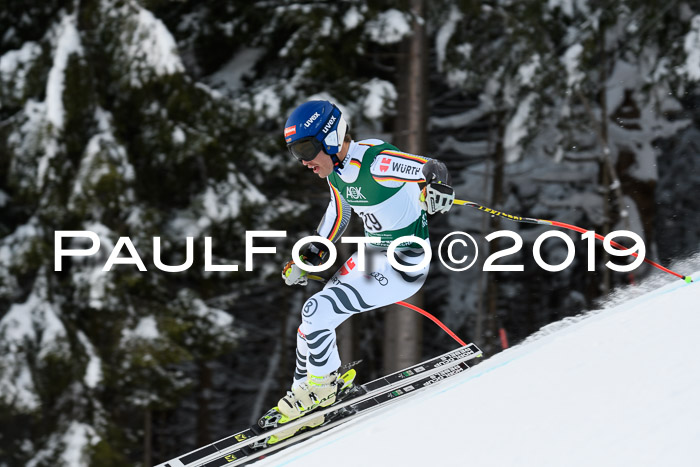 NJC + FIS, Super-G, Herren, 06.02.2019