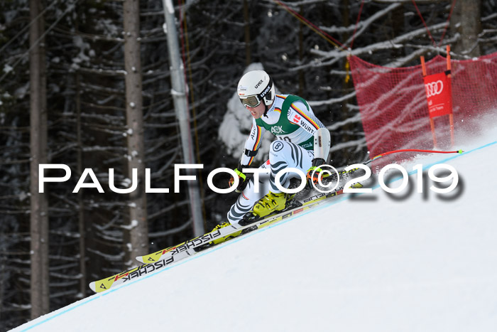 NJC + FIS, Super-G, Herren, 06.02.2019