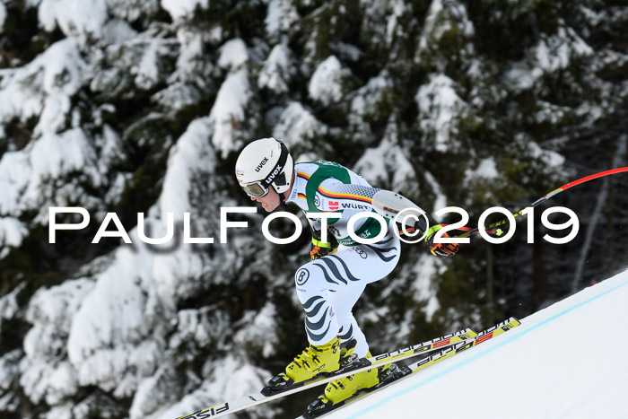NJC + FIS, Super-G, Herren, 06.02.2019