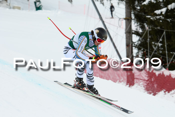 NJC + FIS, Super-G, Herren, 06.02.2019