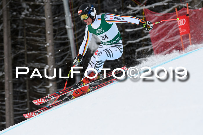 NJC + FIS, Super-G, Herren, 06.02.2019