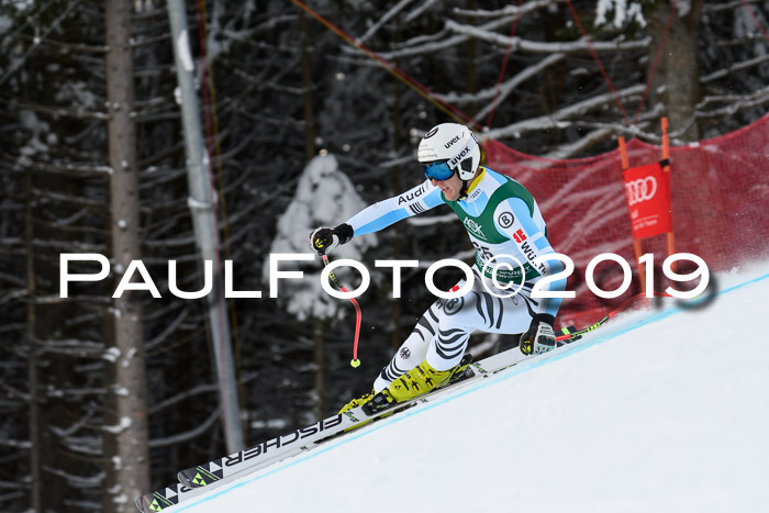 NJC + FIS, Super-G, Herren, 06.02.2019